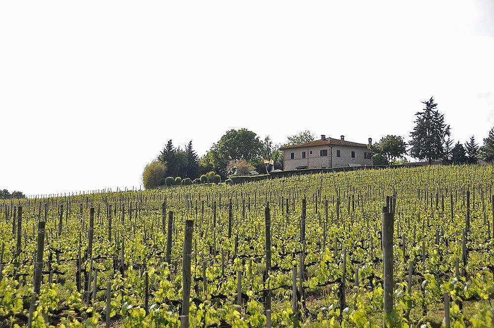 Il Colombaio, Siena -Appartamenti E Camere- Isola d'Arbia Exteriér fotografie