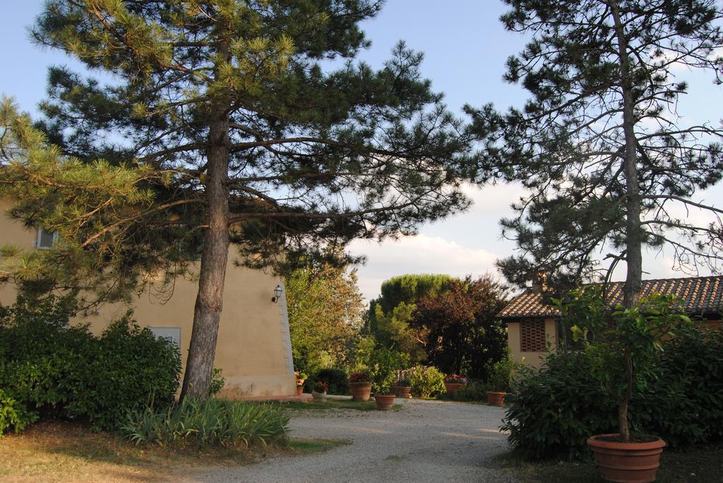 Il Colombaio, Siena -Appartamenti E Camere- Isola d'Arbia Exteriér fotografie
