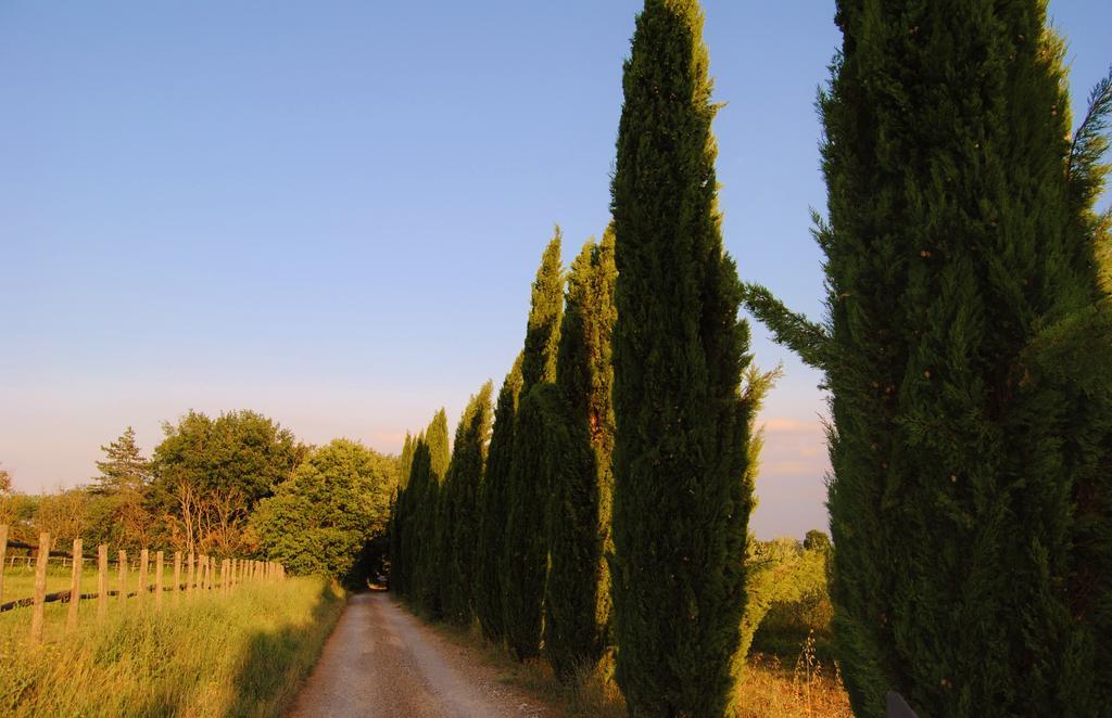 Il Colombaio, Siena -Appartamenti E Camere- Isola d'Arbia Exteriér fotografie