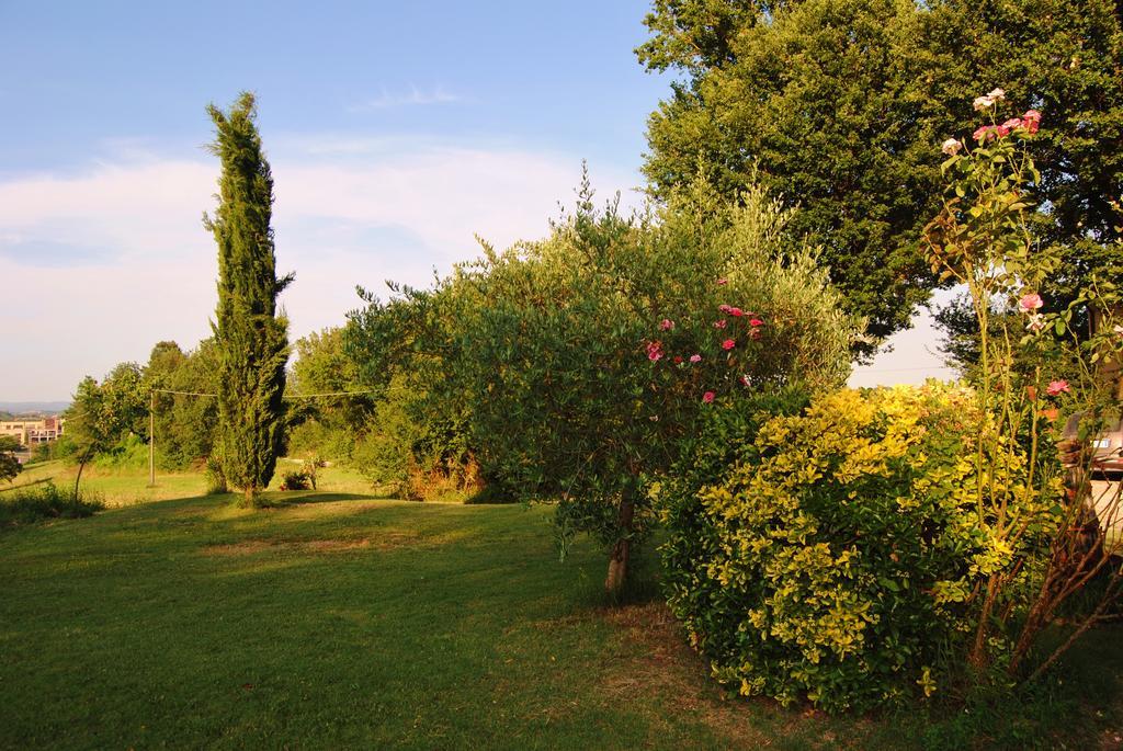 Il Colombaio, Siena -Appartamenti E Camere- Isola d'Arbia Exteriér fotografie