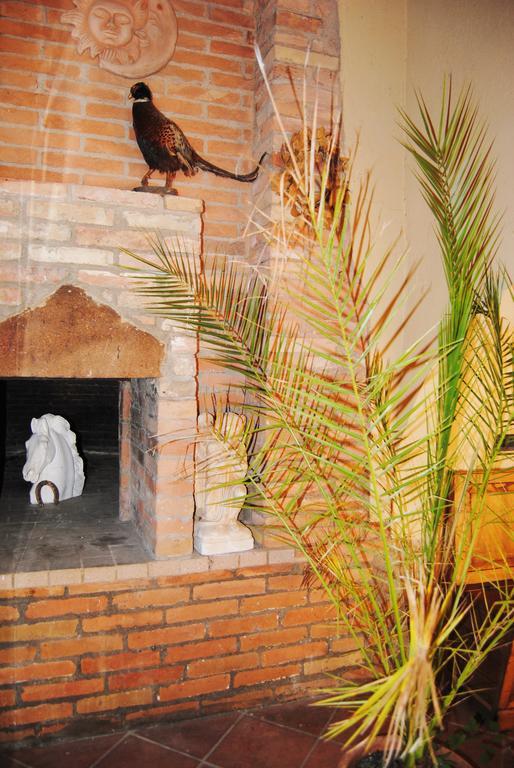 Il Colombaio, Siena -Appartamenti E Camere- Isola d'Arbia Exteriér fotografie