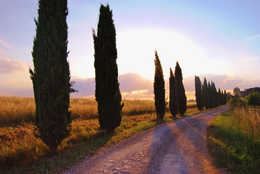 Il Colombaio, Siena -Appartamenti E Camere- Isola d'Arbia Exteriér fotografie